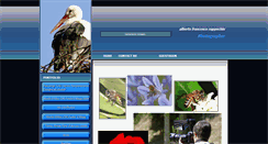 Desktop Screenshot of afzphoto.net